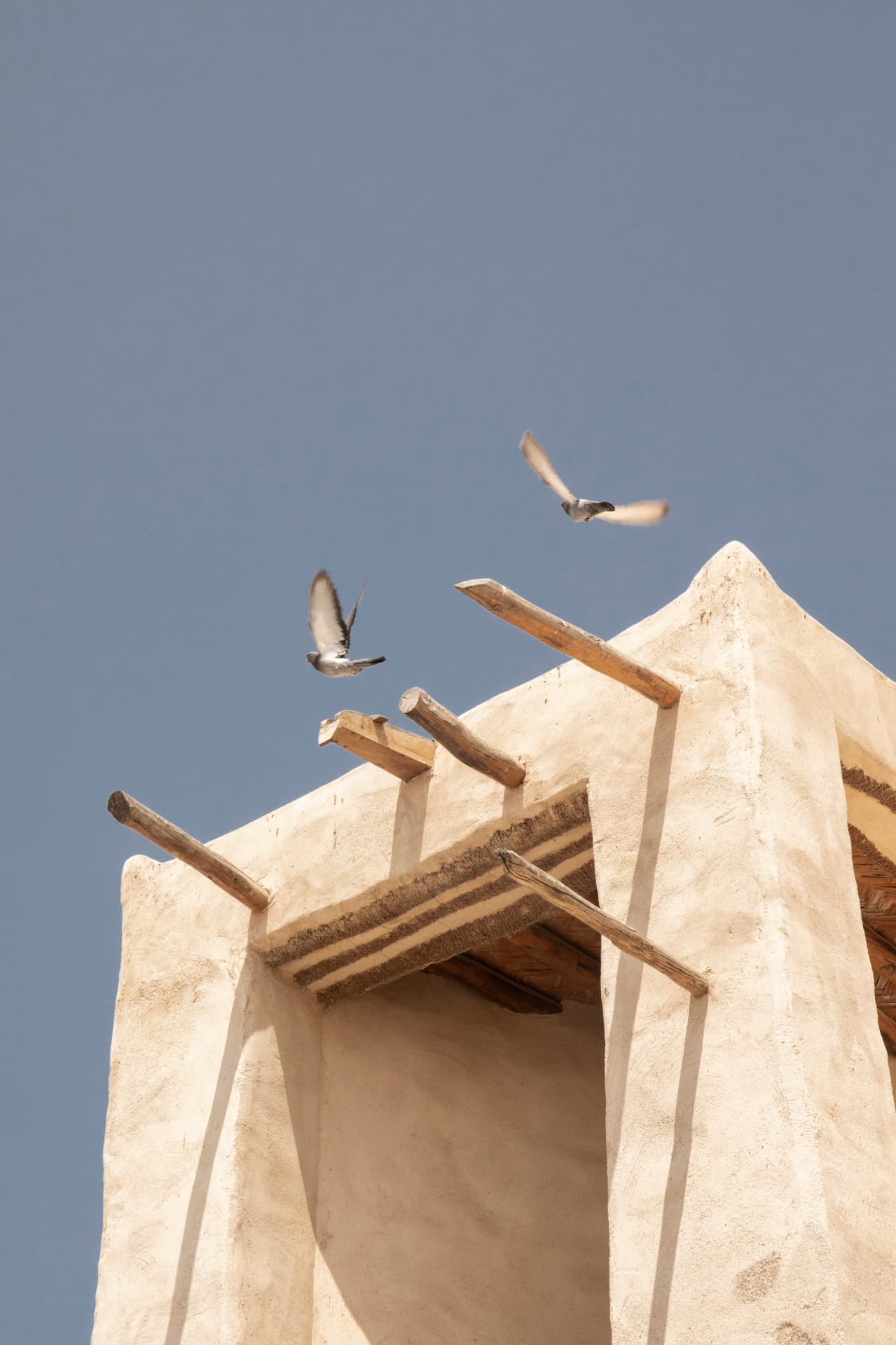 Volunteer at Al Jazeera Al Hamra Heritage Village